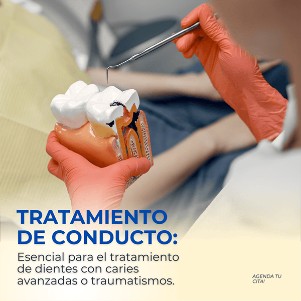 DENTISTA ES 19 (1)